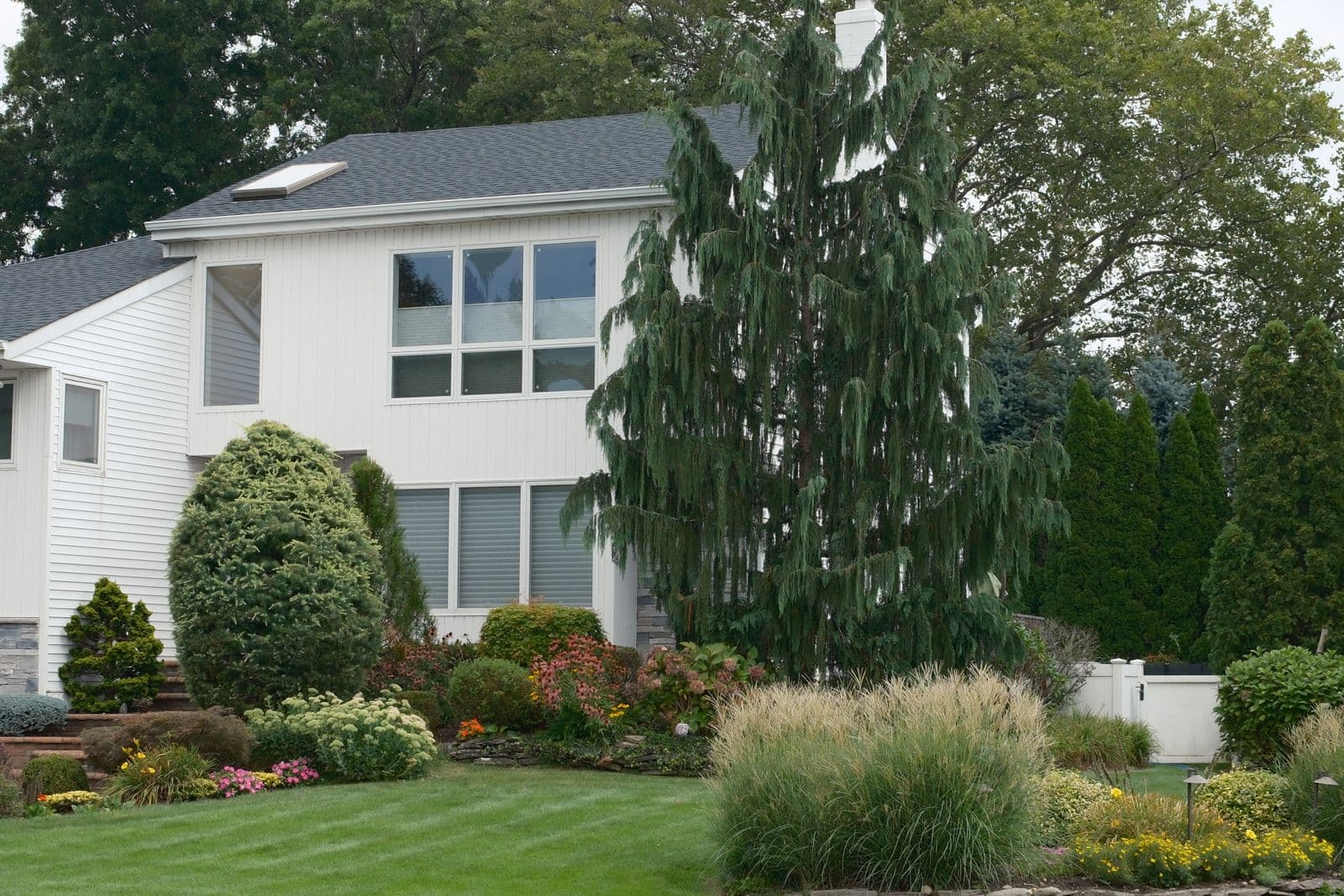 Full Front Yard Redesign — Landscaping project in Brentwood, TN