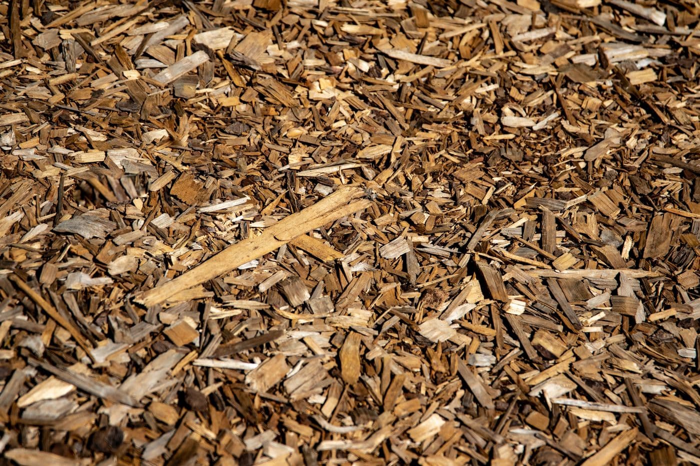 Fresh bark mulch installed in a sunlit garden bed