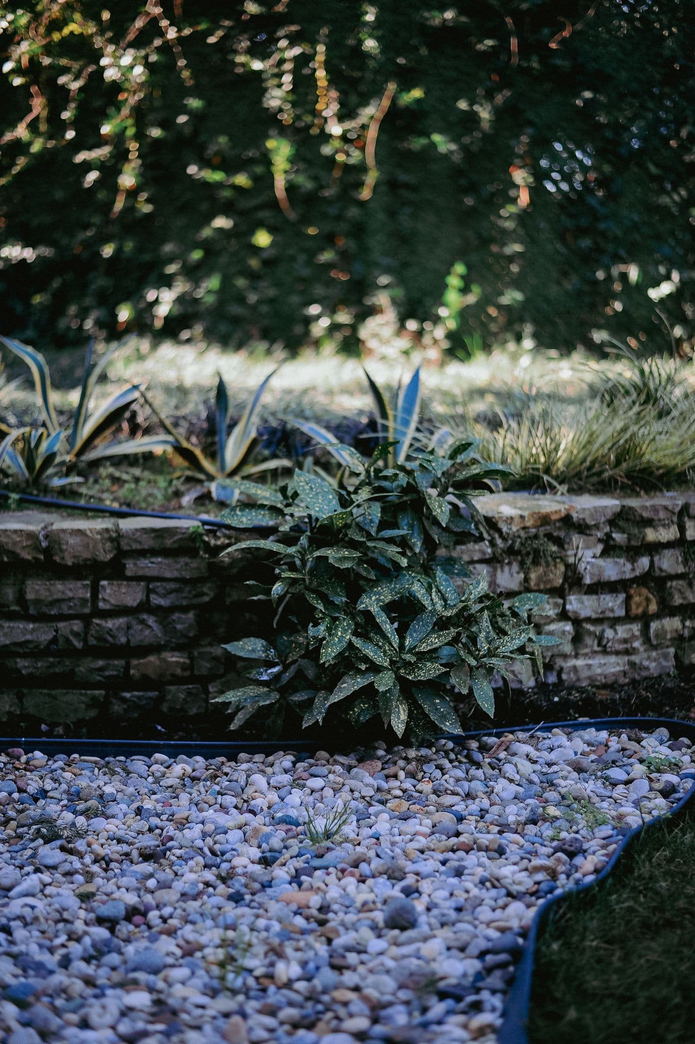 Pebble garden pathway framed by lush greenery and a natural stone wall